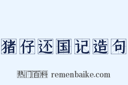 猪仔还国记造句是什么意思的图片